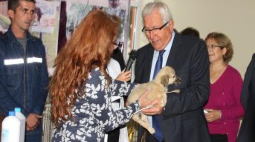 Hayvanlar G&uuml;n&uuml;nde Sahipsiz K&ouml;pek Ve Kediler Sahiplendirildi