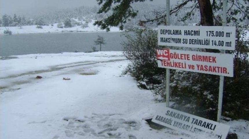 Taraklı Beyaza B&uuml;r&uuml;nd&uuml;