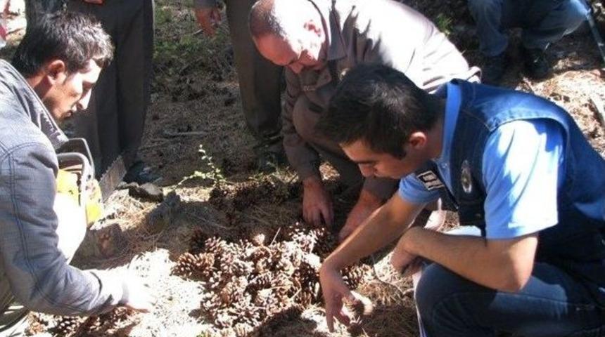 Orman B&ouml;lge M&uuml;d&uuml;rl&uuml;ğ&uuml;&rsquo;nden Eğitim Tatbikatı