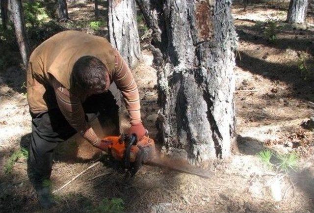 Orman Bölge Müdürlüğü’nden Eğitim Tatbikatı