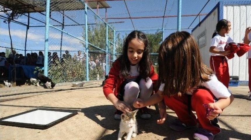 &Ccedil;ocuklardan Hayvan Barınağına Ziyaret