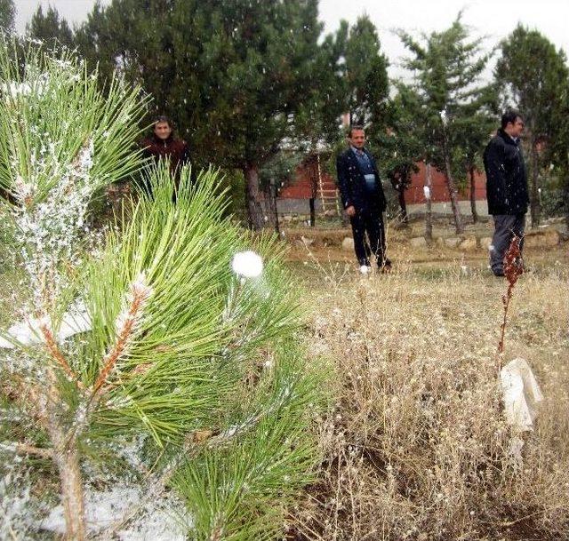 Kayseri'nin Yüksek Kesimlerine Mevsimin İlk Karı Yağdı