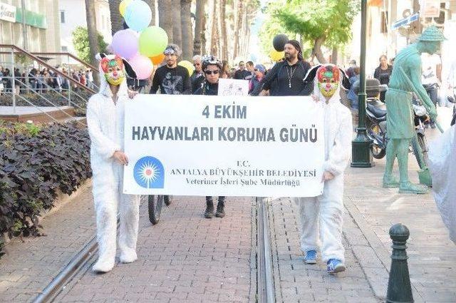 Hayvanlardan Sessiz Çığlık