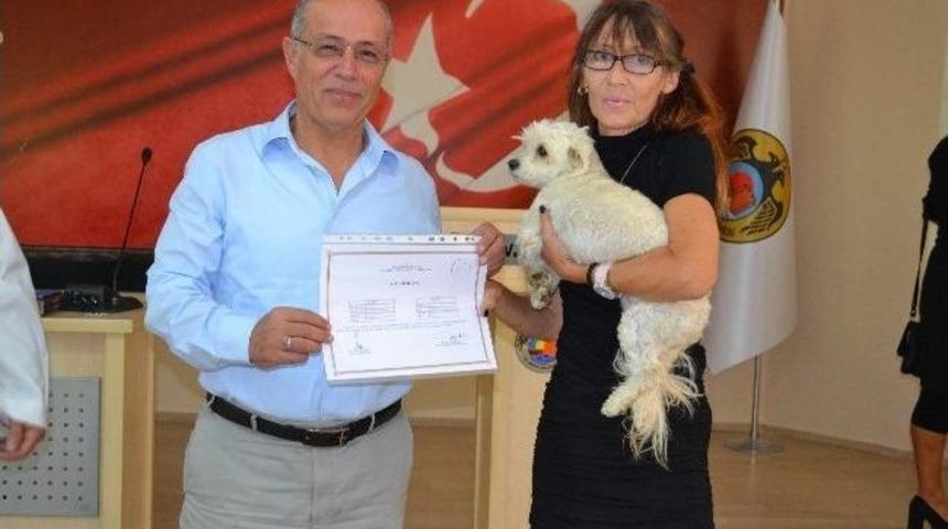 Alanya&rsquo;da Hayvanları Koruma G&uuml;n&uuml; Kutlandı