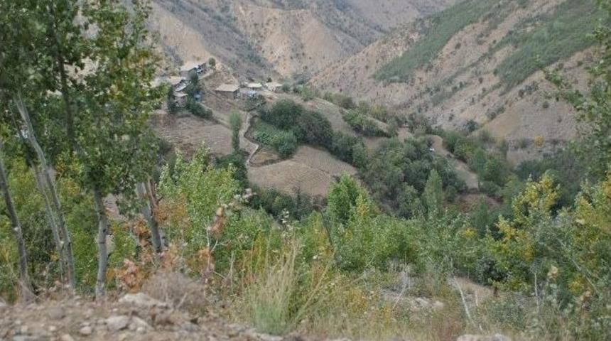 Bing&ouml;l&rsquo;de 3 Ton Esrar Ele Ge&ccedil;irildi