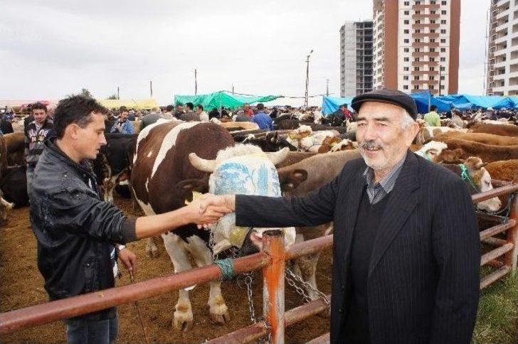 (özel Haber) Canlı Hayvan Pazarında ‘denetim’ Krizi G3