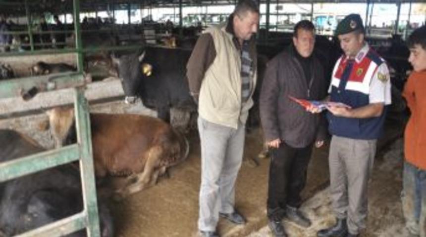 Jandarma Kurbanlık Satıcılarını Sahte Para Ve Hırsızlığa Karşı Uyardı