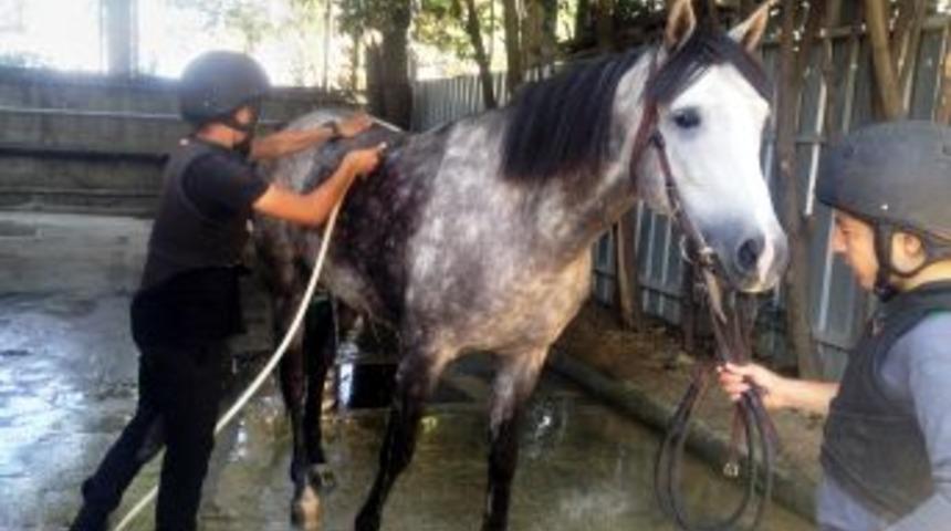 Bu Okulda Uzun Boylu Ve Kilolu Olmak Yasak