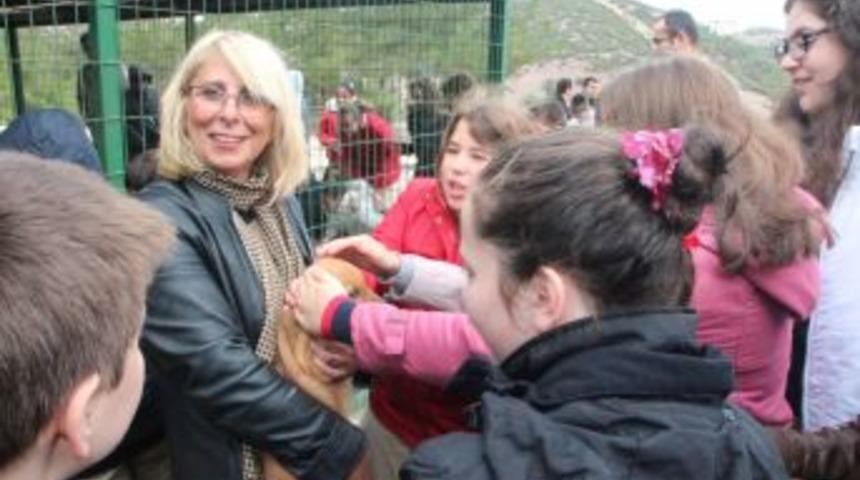 Sokak hayvanları rehabilitasyon merkezi etkinliği