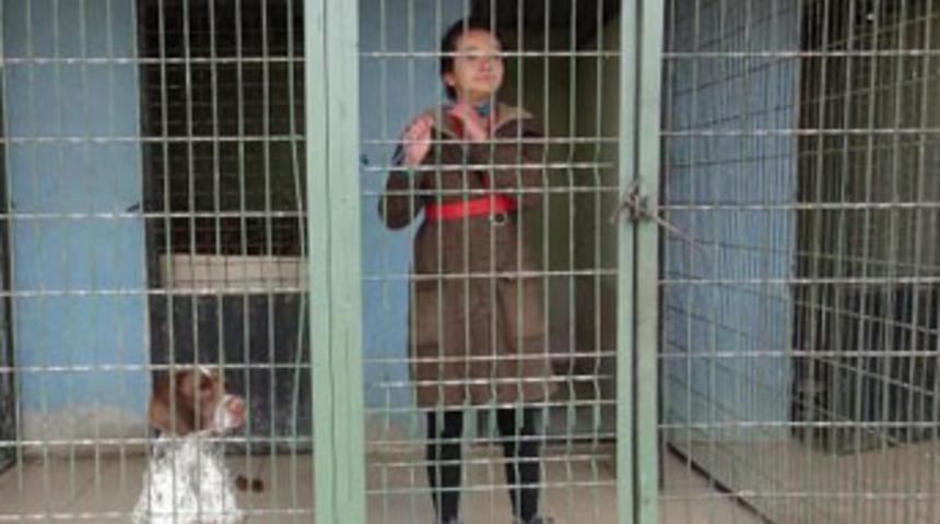 Kafese girdi, tasma takıp havladı