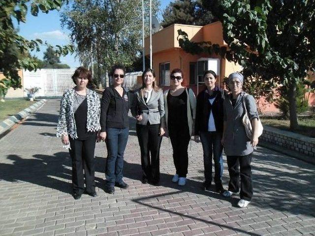 Mhp&rsquo;li Kadınlar Hayvan Barınaklarını Ziyaret Etti 1