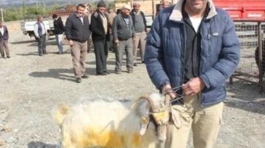 Honaz&rsquo;da Kurban Pazarı Hareketlenmeye Başladı