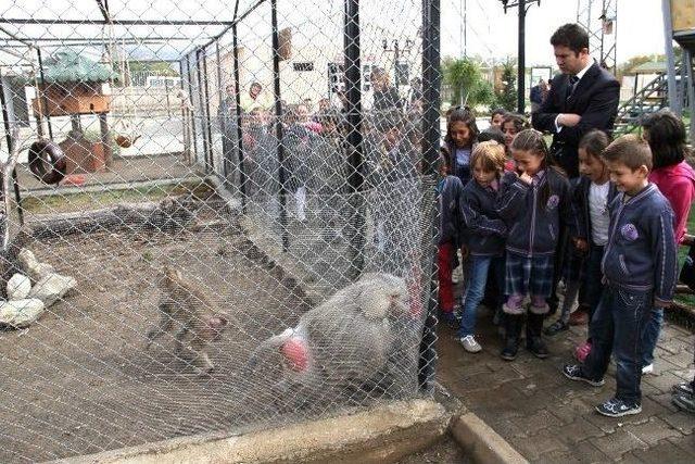 Minik Öğrencilerden Hayvan Barınağına Ziyaret