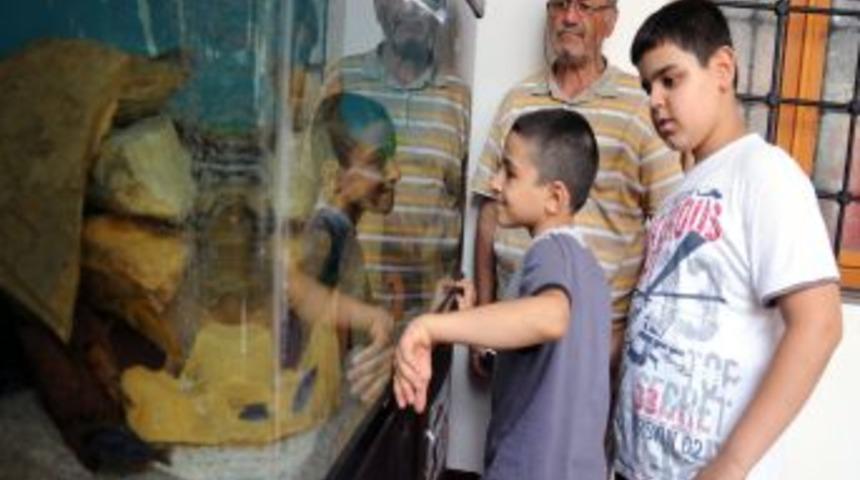 Camide Bulunan Akvaryumda &Ccedil;ocuklar Balık Besliyor