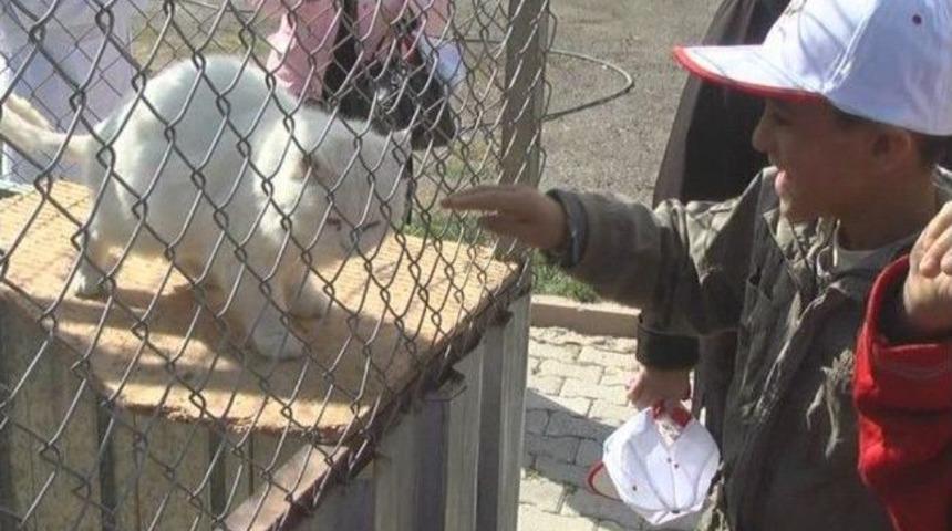 Miniklerden 'hayvan Barınağı'na Ziyaret
