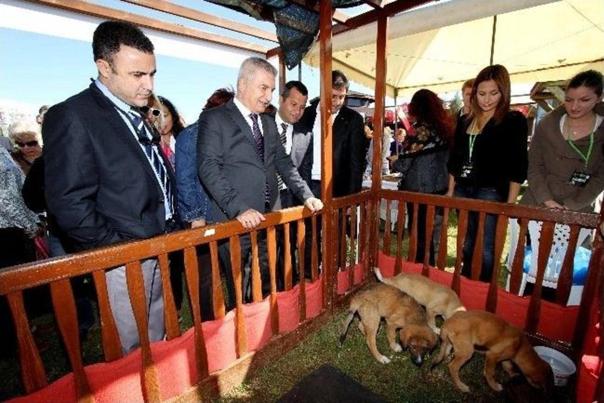 Karşıyakalı Hayvanseverler Tay Park&rsquo;ta Buluştu