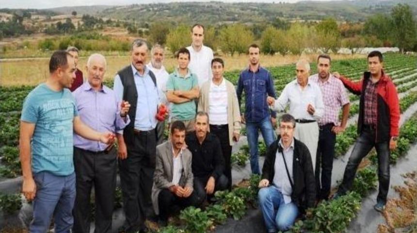 Lider &Uuml;reticiler Tarım Teknik Gezisine Katıldı