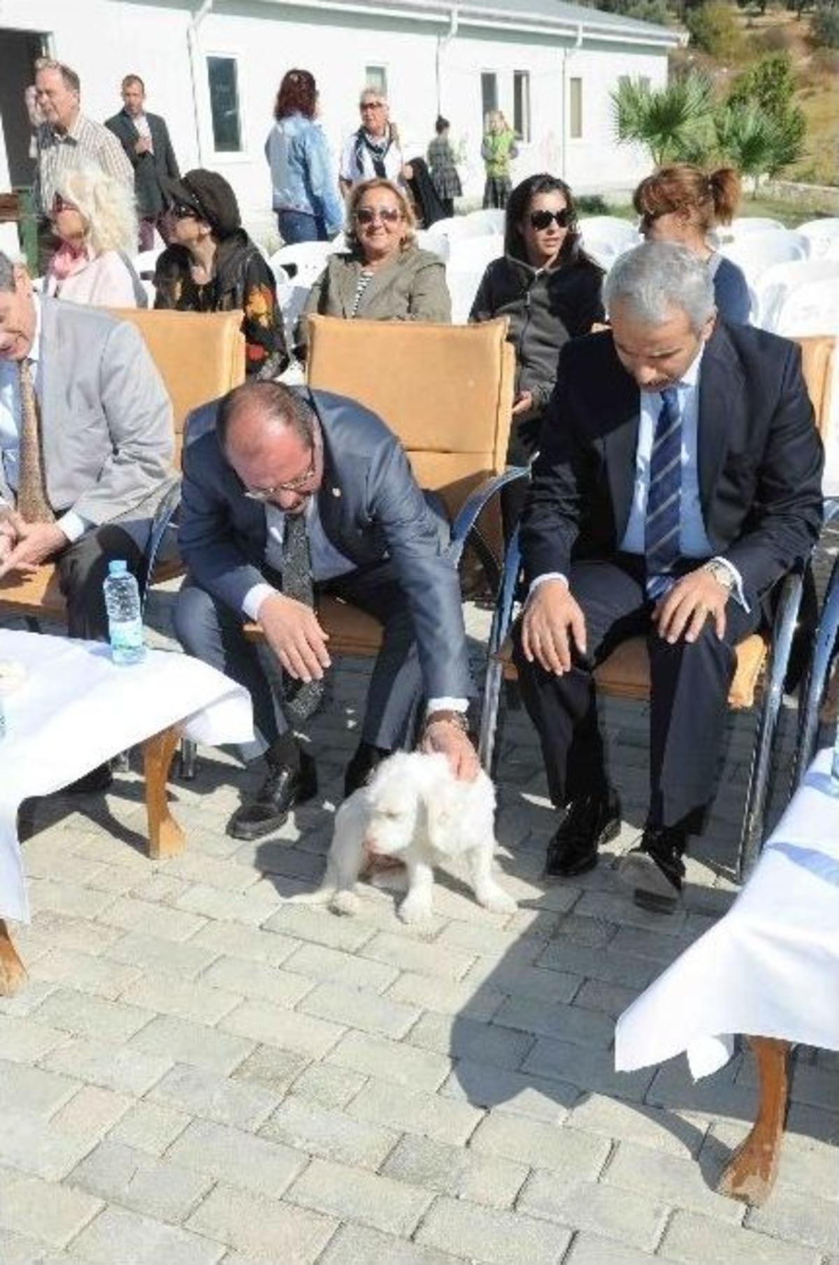 Kuşadası'nda D&uuml;nya Hayvan Hakları Koruma G&uuml;n&uuml; Etkinlikleri