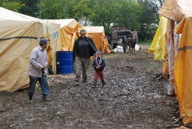 Tokat’ta Kurbanlıklar Görücüye Çıktı