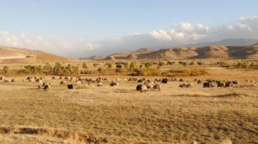 Hakkari'de Kış Hazırlıkları Yapıldı