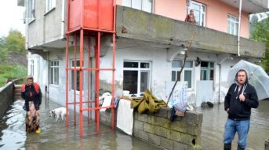Zonguldak'ta Dere Taşması Sonucu Evleri Su Bastı