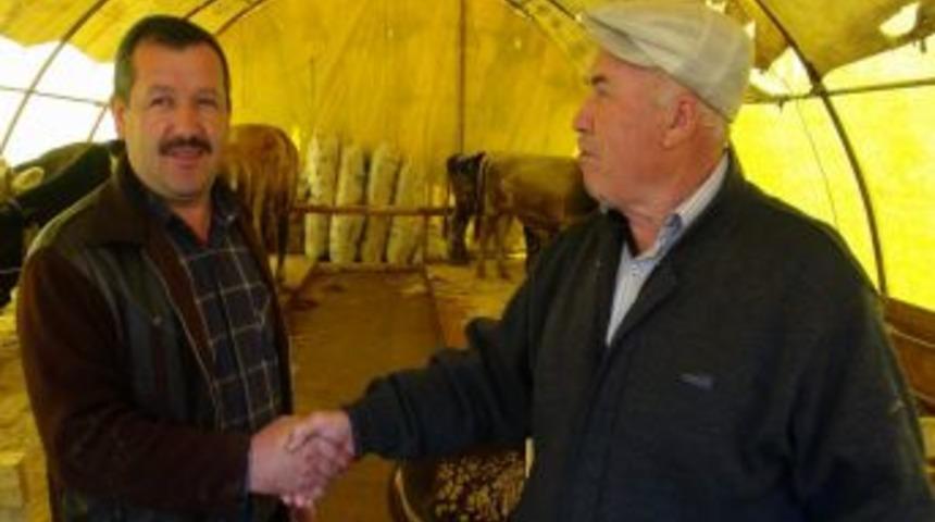 Yozgat'ta B&uuml;y&uuml;kbaş Kurbanlıklar 2 Ila 7 Bin Lira Arasında