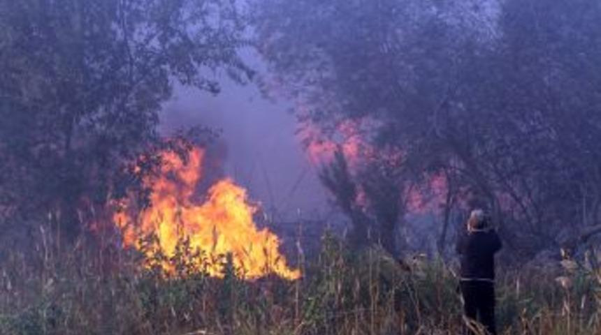 Muğla'da Sazlık Alanda Yangın