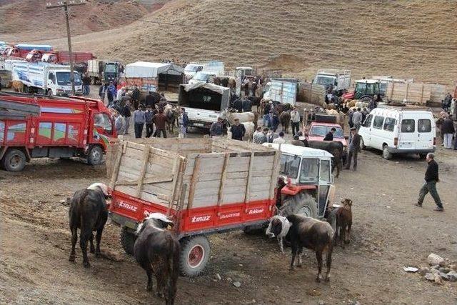 Kurbanlık Soran Çok, Alıcı Yok