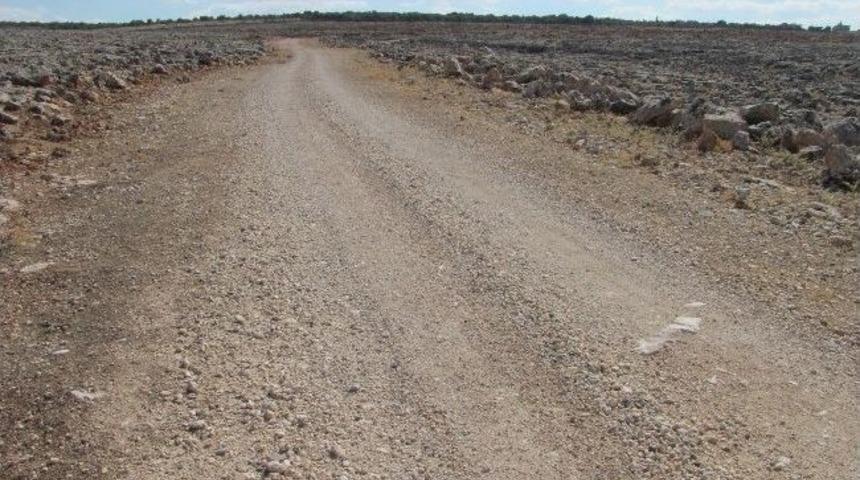 Altınpınar K&ouml;yl&uuml;leri Stabilize Yolun Asfaltlanmasını İstiyor