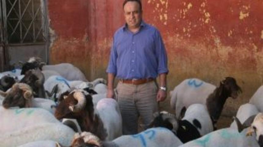 Kurbanlıklarda Artış Beklenmiyor