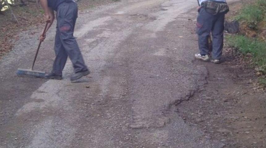 K&ouml;ydes Projesi Devam Ediyor