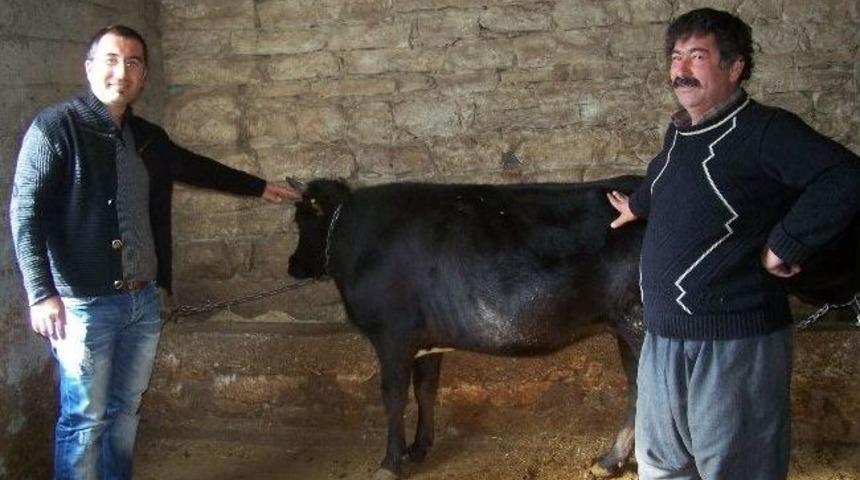 Korkuteli'de Besiciler Umutlu