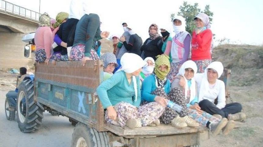 (&ouml;zel) Tarım İş&ccedil;ilerinin &Ouml;l&uuml;m&uuml;ne Yolculuğu
