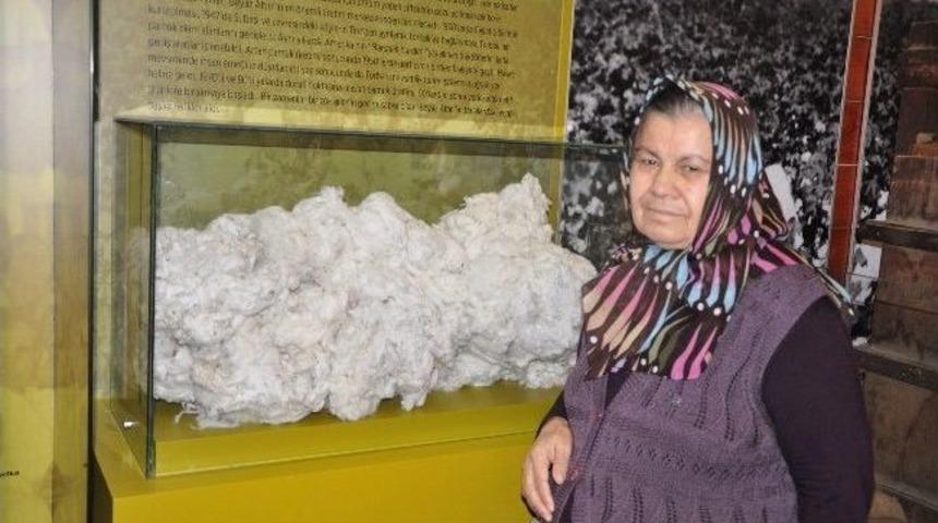 Rehber Babaanneden Torununa Nasihat