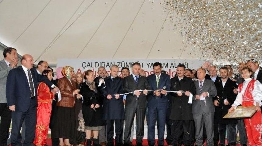 Yeni Bir Z&uuml;mr&uuml;t Yaşam Alanı Daha A&ccedil;ıldı
