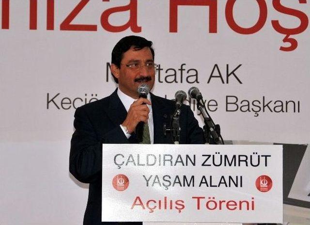 Yeni Bir Z&uuml;mr&uuml;t Yaşam Alanı Daha A&ccedil;ıldı 1