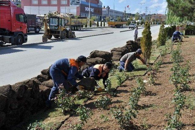 Belediye, 2 Bin Metrekarelik &Ccedil;im Serdi 1