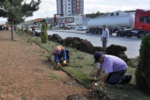 Belediye, 2 Bin Metrekarelik &Ccedil;im Serdi 2