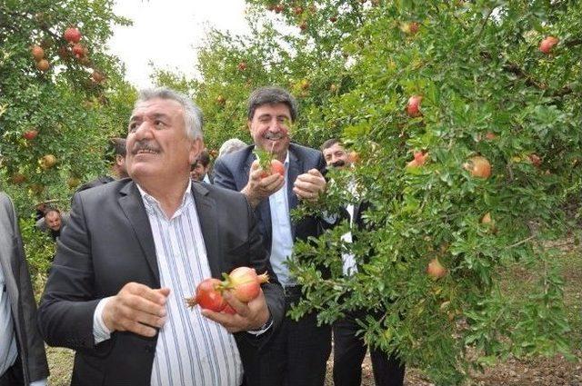 Bdp&rsquo;li Tan, Demokratikleşme Paketini Eleştirdi 2