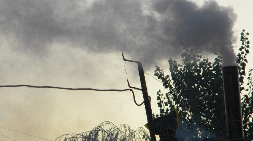 Trakya&rsquo;da Bacalar T&uuml;tmeye Başladı