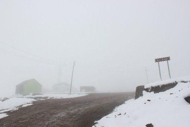 Soğuk Ve Yağışlı Hava Sisdağı’nı Beyaza Bürüdü