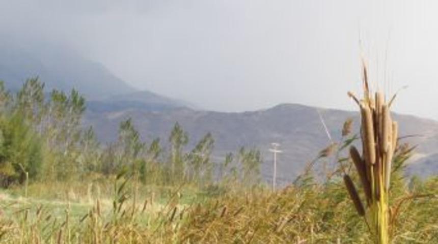 Sultan Sazlığı'nın Kamış Çiçeği Evleri Süslüyor