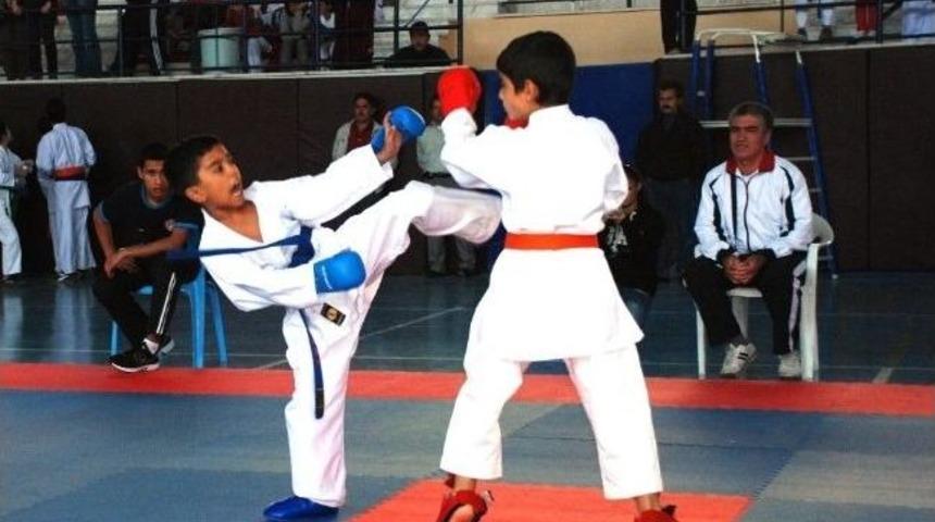 Gen&ccedil; Karateciler Germencik'te Boy G&ouml;sterdi