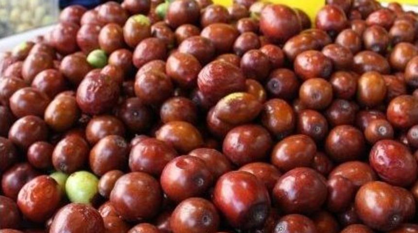 Şeker Hastalığının D&uuml;şmanı H&uuml;nnap