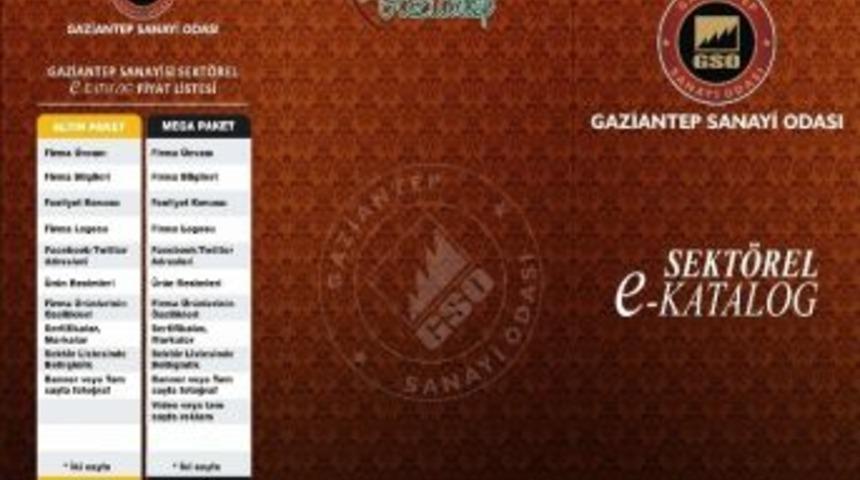 Gso&rsquo;dan Sekt&ouml;rel E-katalog &Ccedil;alışması