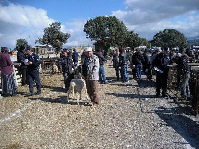 Gediz Emniyet Müdürlüğü nden Kurban Pazarlarında Sahte Para Uyarısı 1