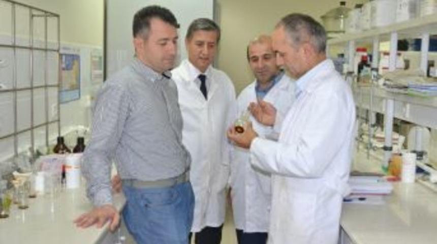 SA&Uuml;&rsquo;l&uuml; Hocalar Daha Ucuz Ve Etkili Antibiyotik Keşfetti