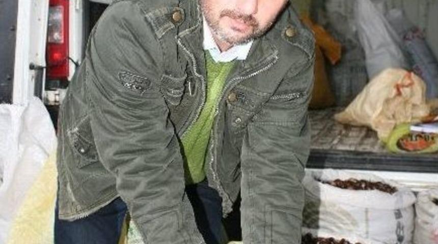 D&uuml;zce&rsquo;de Kestane Pazara İndi