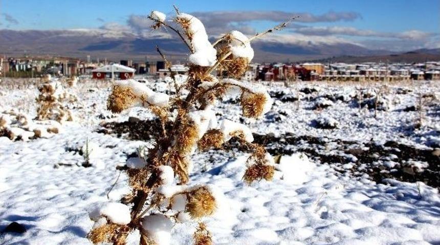 Doğu&rsquo;da Kara Kış Ve Soğuk Hava