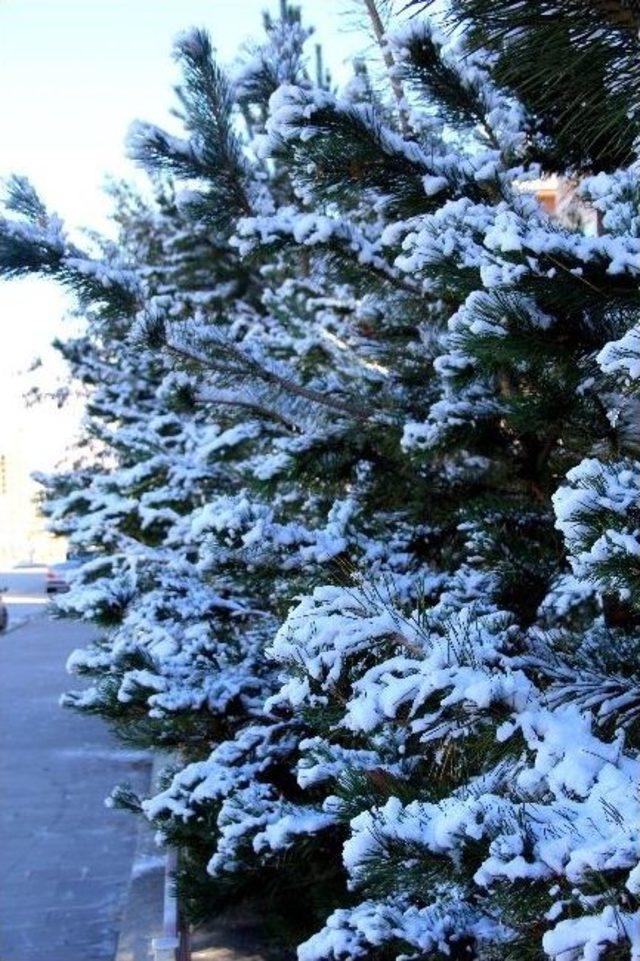 Doğu’da Kara Kış Ve Soğuk Hava